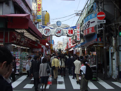 �A�����B�m�����ƊC�Y�����Ƃ������ς��B�B